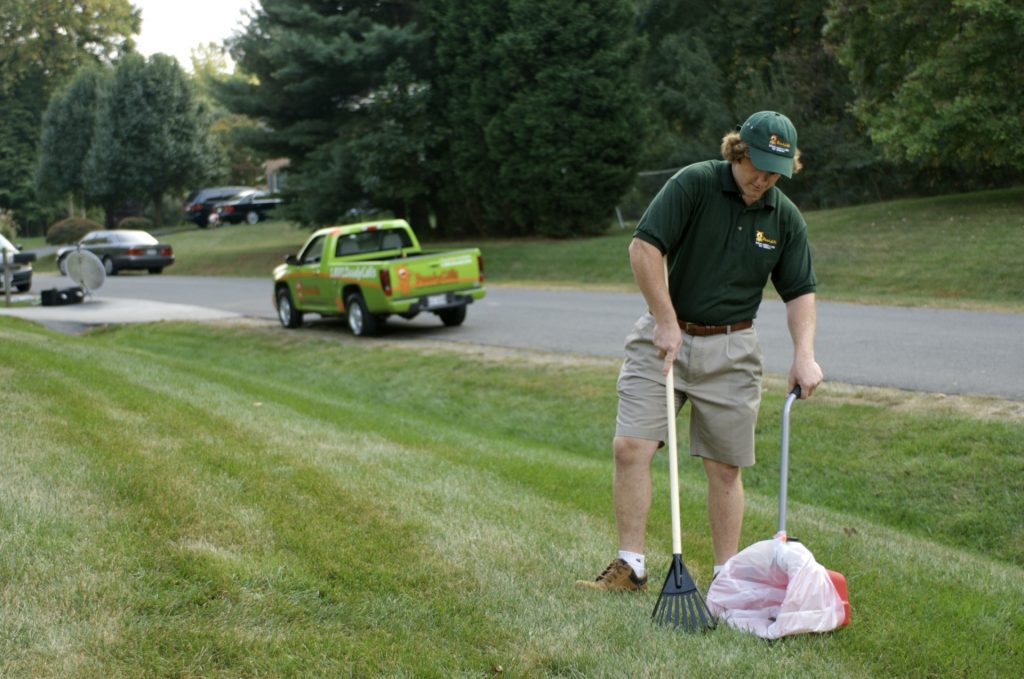 We Offer the Best Local Feces Cleanup Service