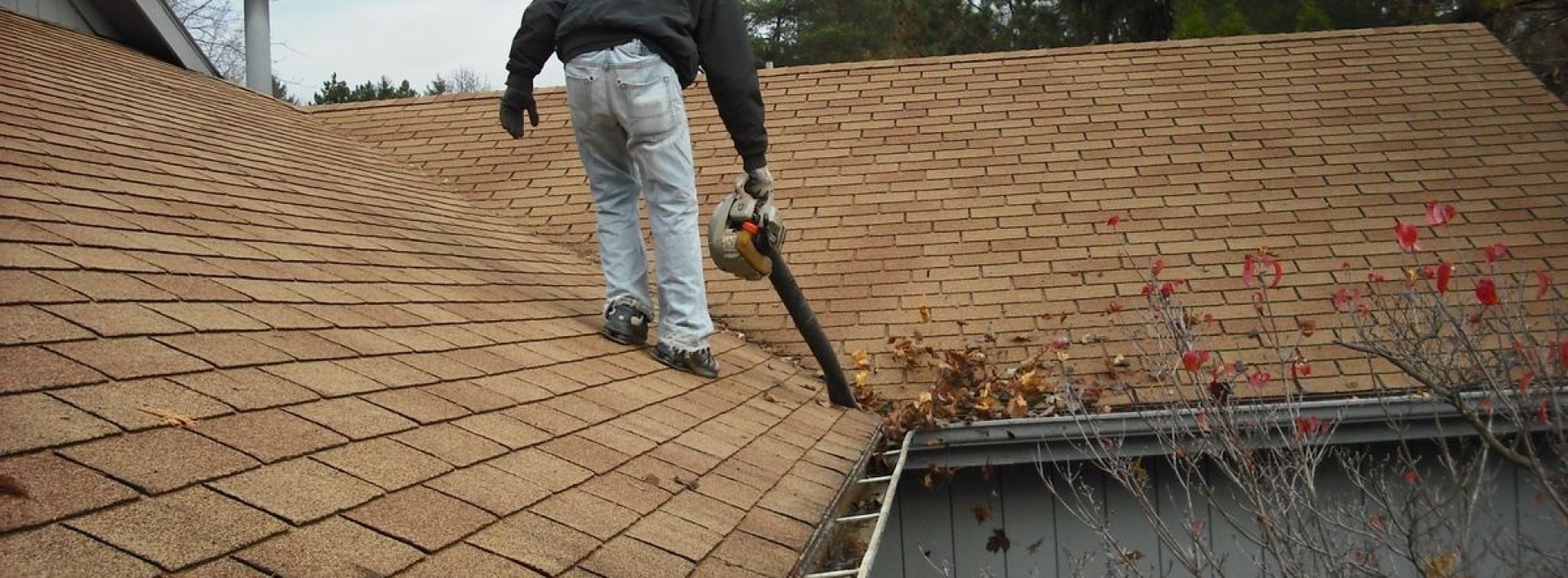 Check rosebab.com for the Things to Keep in Mind When Repairing a Roof﻿
