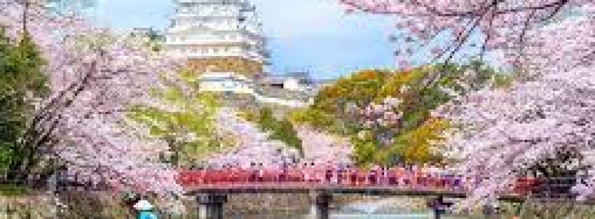 ﻿Japan Family Tours – Places To Take A Trip To