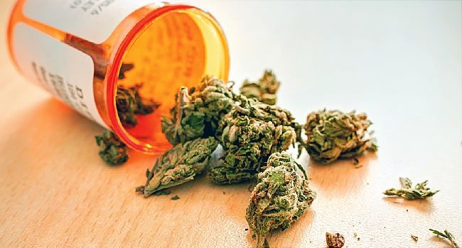 Why Cannabis Has a Lot of Benefits Medicinally