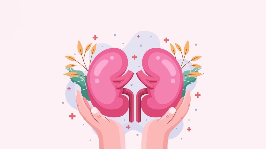 The Kidney Chronicles: Narratives by Dr. Moustafa Moustafa