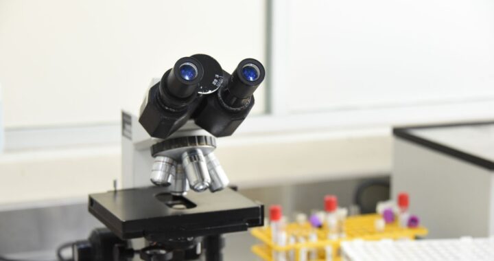 Gujarat Biotechnology University JRF Recruitment